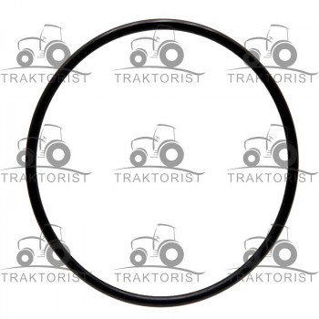 Dichtring Achsschenkel für Fendt